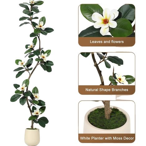 Albero di magnolia artificiale, design regolabile, fiori realistici, verde (1/2)