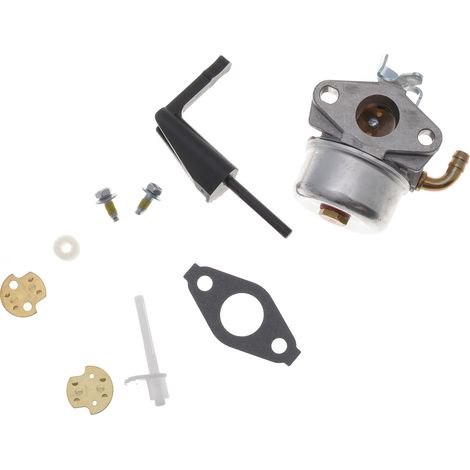 Carburateur d'origine Briggs Stratton référence 798653 (1/3)