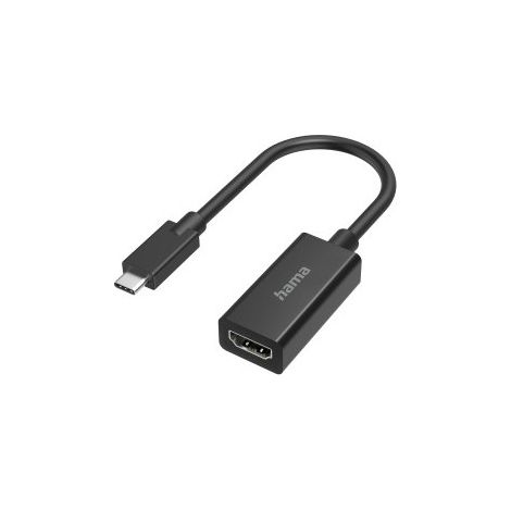 Hama 00205160 adaptateur graphique USB 4096 x 2160 pixels Noir (1/2)