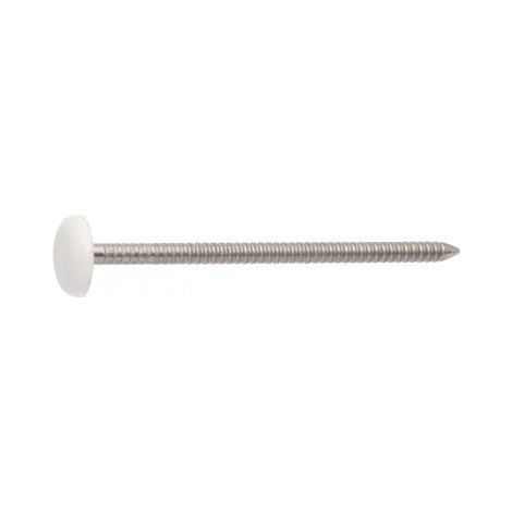 Pointe ANNELEE Tête PLASTIFIEE 2.1X30 Inox A4-30 pièces