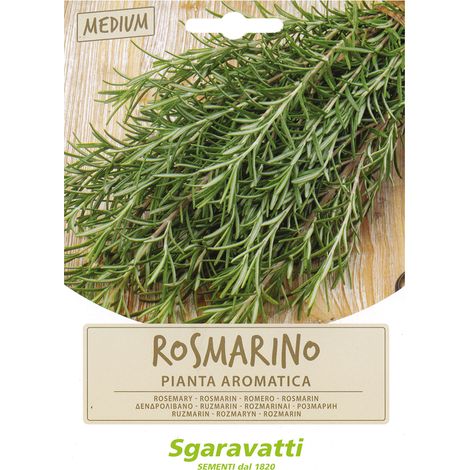 SEMI PER ORTAGGI E VEGETALI rosmarino Q.TA 20 rosmarino