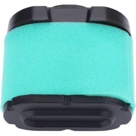 Filtre à air et huile - Compatible moteurs 20 27hp Longue durée - Tondeuses à gazon - D170 Z245 (1/5)