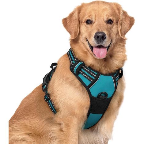 Harnais chien anti-traction Rabbitgoo XL bleu paon réglable poignée attache avant (1/5)
