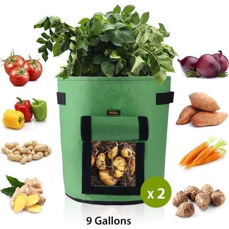 Sacs de Culture pour Pommes de Terre,Tissu Non-tissé Sac de Plantation de Pommes de Terre à Fenêtre (2pcs Vert, 9Gallons)