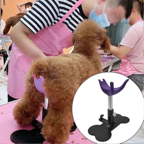 Support de toilettage professionnel pour animaux de compagnie, adapté aux petits chiens et chats, avec une capacité de poids de 5 à 10 kg, violet. (1/4)