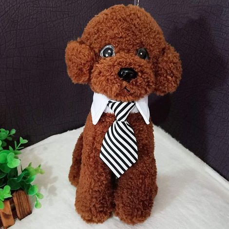 Filiyano-1 laisse noire taille S, réglable pour chiens et chats, petite (1/5)