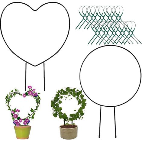 2 Pack Indoor Plant Stakes - Climbing Aid - Potted Plant Support Suitable for Indoor and Outdoor Use (1/5)
