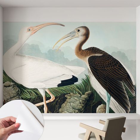 Tapete Selbstklebend - abwaschbar - Tapete mit Motiv - trendige Wanddeko - elegant Fototapete Vogelpaar 152x104 cm (1/5)