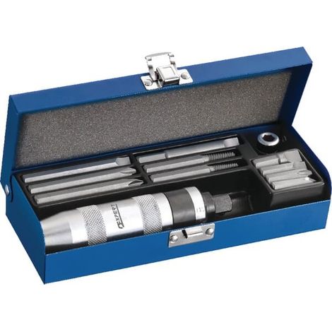 EXPERT Composition tournevis à frapper - 12 Pieces - E230301 (1/2)