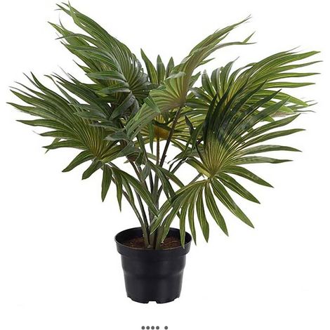 Palmier artificiel en pot 10 grandes feuilles H 35 cm (1/3)
