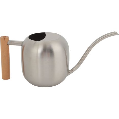 Arrosoir multifonctionnel grande capacité avec long bec verseur pour plantes d'intérieur et d'extérieur, 1200 ml, argent (1/5)