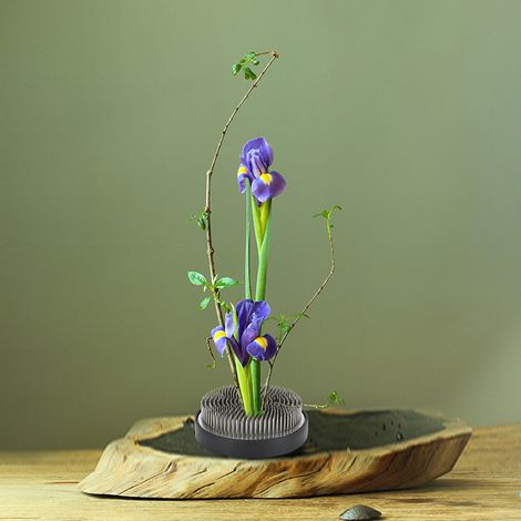 Aiguille ronde Kenzan dense, accessoire de composition florale, outil spécial en acier inoxydable (1/5)
