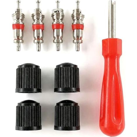 Outil de Démontage de Valve de Pneu, Demonte Obus Valve, Valve Pneu Voiture, Valve Core, Demonte Obus, Extracteur Noyau Valve à Double Tête pour Camions Vélos Motos Entretien Auto (1/5)