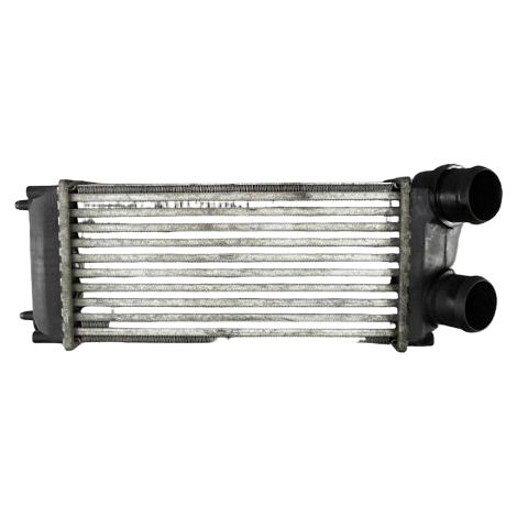 Echangeur Air CITROEN C4 Picasso 07-13 [PRODUIT D'OCCASION]♻️0384h5 (1/2)