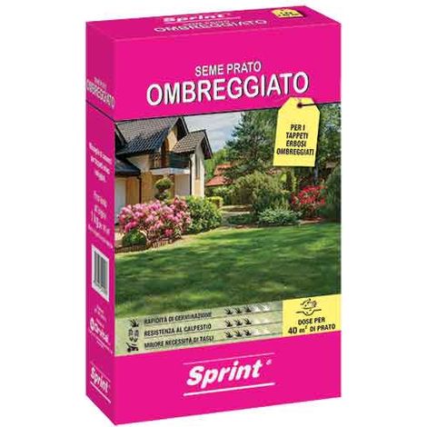 SEMI PER PRATO OMBREGGIATO 1 Kg