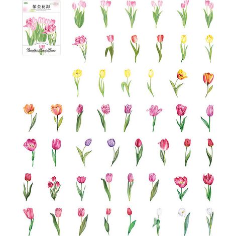 100 Étiquettes Fleurs Série Mer de Fleurs Illimité PET Autocollants Plantes DIY Matériel Déco Tulipe (1/5)