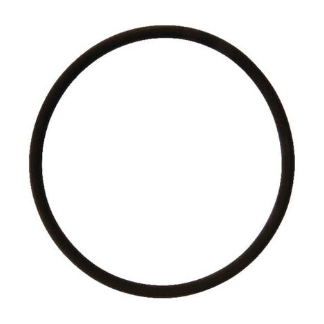 Junta t贸rica 126,4 x 7 Viton Rau KVERNELAND RAU RG00058725 (1/2)