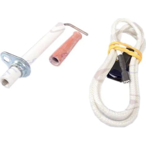 Électrode ionisation sans câble - CHAFFOTEAUX : 60084282