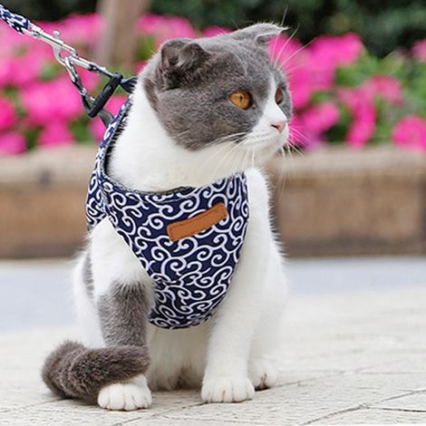 Katzen-/Hundegeschirr – Blau, Größe S (1/5)