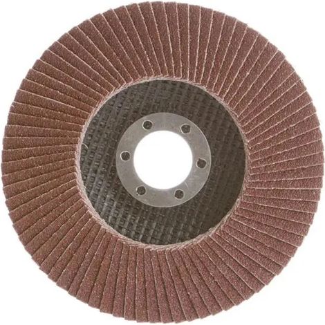Disco flap Haushalt 116.01 diámetro 125 mm agujero 22 mm