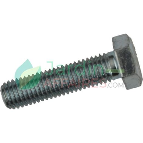Vite Uni 5739 M 14 x 55 Delmorino 40100145