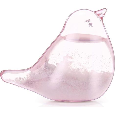 Storm Glass Weather Station, Glass Weather Forecaster Barometer Bird Weather Forecast Bottle, Pink Weather (1/5)