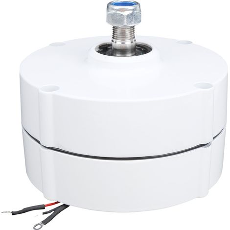 Éolienne 12V 100W Génératrice Aimant Permanent Alternateur Triphasé Synchrone NE-100 (1/5)
