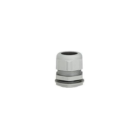 Press Etoupe Iso 20 98003