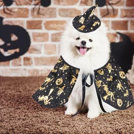 Déguisements d'Halloween pour chiens et chats, costumes de sorcières pour animaux, capes et chapeaux, ensembles de sorcier pour animaux pour une fête d'Halloween (taille M)