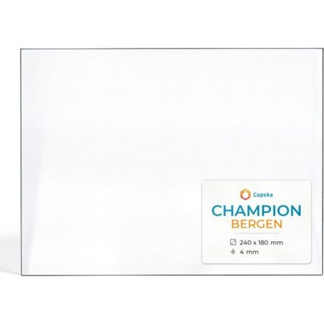Vitre Champion BERGEN - Verre Rectangle pour poêle à bois - 240 x 180 mm (L1 x H1) - 4 mm (1/5)
