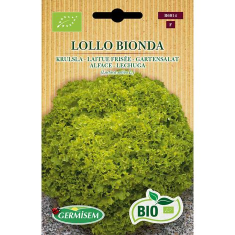 Graines Laitue frisée LOLLO BIONDA