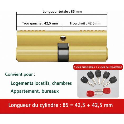 Serrure à poignée pour portail extérieur avec cylindre 85 mm 42,5 + 42,5 mm 85 42.5 1 kg – Livraison gratuite