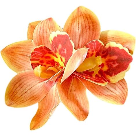 Pince à Cheveux Hawaïenne Pinces Artificielles Orchidée Hawaïenne En Résine Accessoires Cheveux Fleur pour Mariage Fête de Mariage Été Nouvel An Anniversaire Festival (1/5)