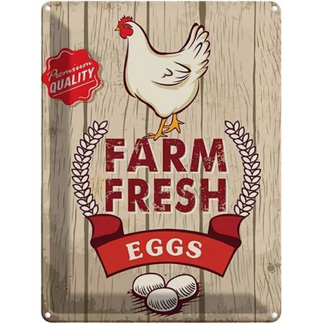 Plaque métallique 40x30 cm Œufs frais de la ferme (qualité supérieure) (1/4)