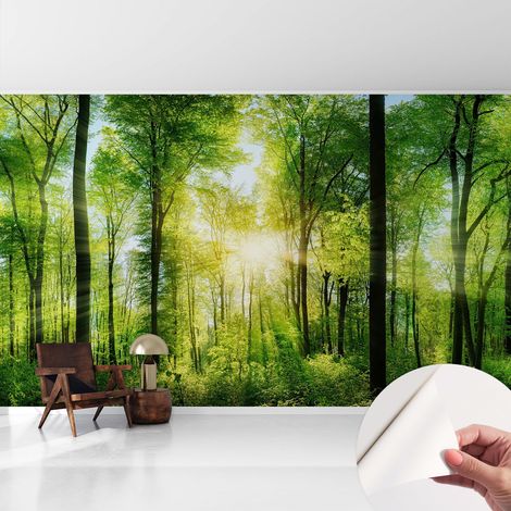 Fototapete Selbstklebend - Wandtattoo - leicht anzubringen - Wandverkleidung Waldharmonie 416x254 cm (1/5)