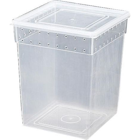 1 Stück Reptilienbox für Spinnenbaumfrösche