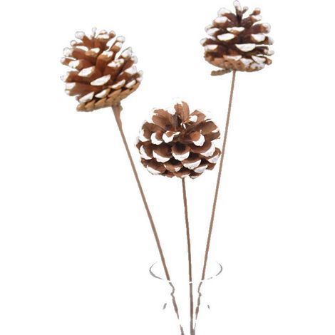 Boule De Pin Séchée - Bouquet Fleurs Séchées Naturelles Fait Main - Décoration Intérieure Extérieure Maison Bureau Hôtel - 30 Pièces (1/5)