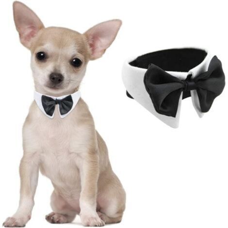 Dog Bow Tie, 1 Pack Adjustable White Collar with Bowtie for Small Dogs, Cats, Wedding, Birthday (1/5)