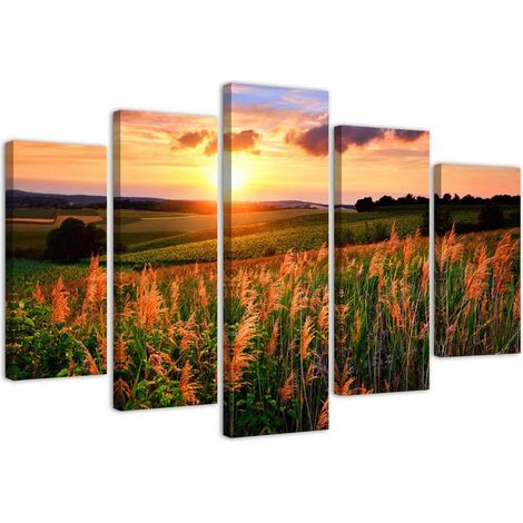 Quadri Quadro 5 pezzi Stampa su tela Prato fiorito al tramonto - 150x100 (1/5)