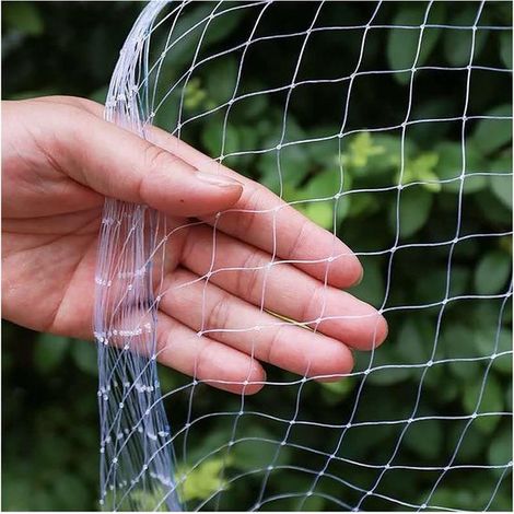Vogelschutznetz Gartennetz 5 x 5 m Maschenweite 2,5 x 2,5 cm Vogelschutznetz Vogelabwehrnetz Volierennetz Knotenlos Nylon Gartenbedarf (1/5)