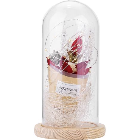 Lampe De Nuit En Verre Avec Fils De Cuivre - Dôme En Verre Contenant Fleur Séchée - Lampe Décorative Pour Chambre À Coucher - 3 Piles AAA (1/5)