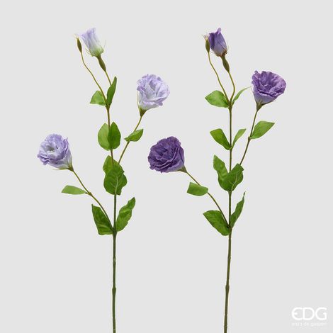 EDG Enzo De Gasperi Lisiantus Ramo con Foglie Ass. H 71 Cm D 10 Cm Pianta Artificiale Colore Violet Mix 1 Pz