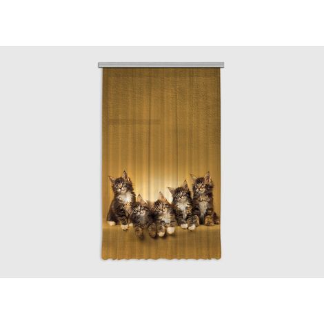 Cats, rideau imprimé 5 chatons 140x245 cm, 1 pièce (1/5)