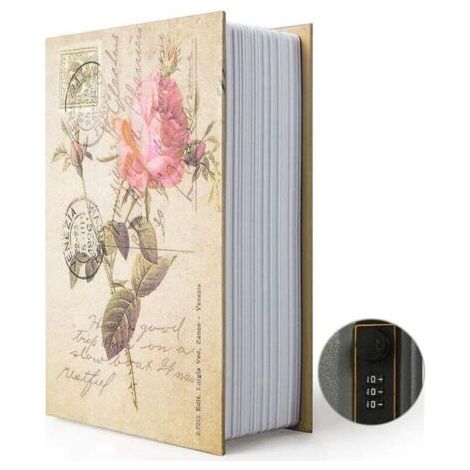 Coffre-fort secret en forme de livre avec serrure à combinaison et clé cachée (1/4)