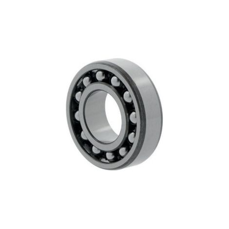 Pendelkugellager 1312 EKTN9 ID 60mm AD 130mm Breite31mm SKF