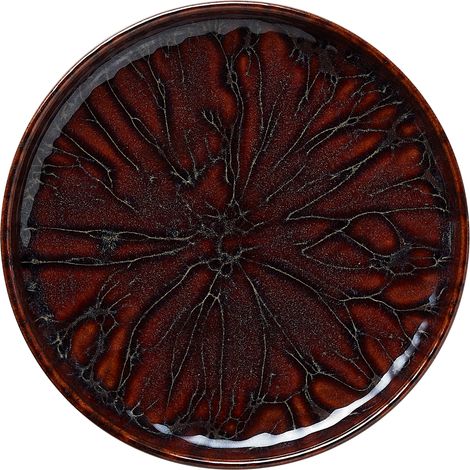 Lot de 6 assiettes en Grès Amazonie H 30 mm Ø 220 mm 1 - Was Germany