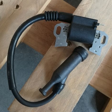 Briggs & Stratton 797769 Zündspule, Hochspannungsspule, geeignet für kleine Motoren, Original-Ersatzteil für Rasenmäher, Generatoren usw. (1/5)