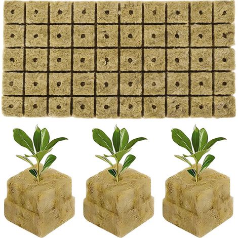 50 blocs dhydroponie Esponja pour plantes (1/5)