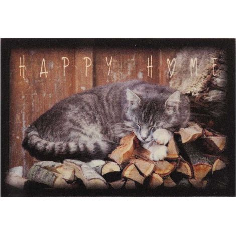 CALICOSY - Tapis d'entrée chat - L60 x l40 cm (1/5)