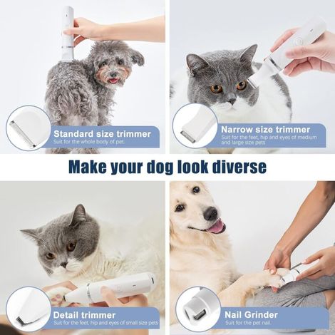 4 en 1 Tondeuse Chien Professionnelle: Silencieuse Tondeuses pour Chiens Étanchéité IPX7,Sans Fil Fondeuse Toilettage pour Animaux avec Câble USB Rechargeable pour Chat et Autres Animaux de compagnie (1/4)